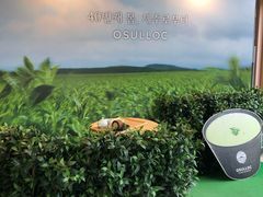 -雪绿茶博物馆