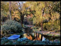 -上海共青森林公园