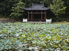 -国恩寺