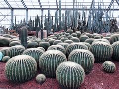 -南通洲际绿博园