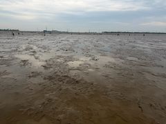 -小洋口旅游度假区