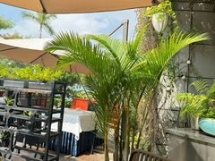 -百味馆·海鲜·湛江菜(后海花园店)