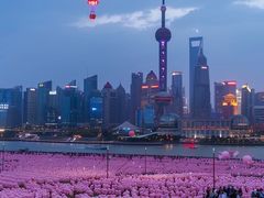 -东方明珠广播电视塔