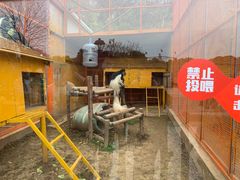 -无锡动物园·太湖欢乐园