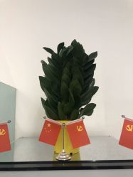 点击看大图 -I+造型烫发染发