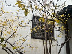 -惠山古镇·寄畅园