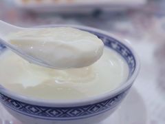 姜撞奶-周大娘牛乳(旧寨古村总店)