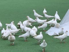 -华谊兄弟（长沙）电影小镇