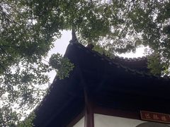 -上海佘山国家森林公园天马山园