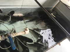 -金台阶鱼馆(于桥水库店)