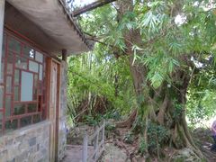 -扬美古镇景区