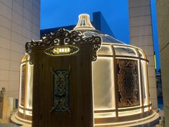 -巴音浩日娲酒楼(双林东路店)