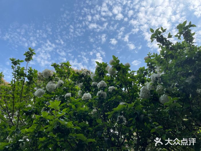 乌山风景区图片