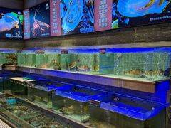 -东方御宴海鲜酒楼(棕泉酒店)