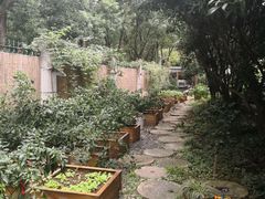 -谷咖啡·鲜花绿植花园餐厅