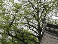 -南山风景名胜区