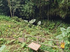 -海口火山口国家地质公园