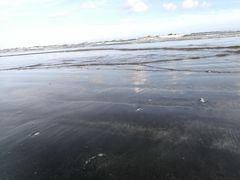 -台山黑沙湾海浴场