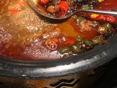 -探鱼·鲜青椒爽麻烤鱼(领展购物广场店)