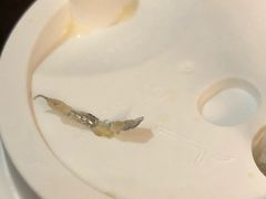 -喜茶(深圳丰盛町店)