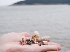 -宁波松兰山滨海旅游度假区