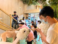 -藦茜花园宠物主题亲子互动体验馆(国顺东路店)