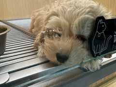 -DQ·蛋糕·冰淇淋(五棵松万达店)