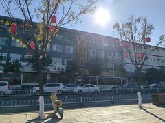 -大清花饺子(山庄店)