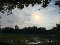-西安浐灞国家湿地公园