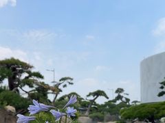 -罗红摄影艺术馆