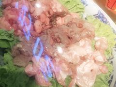 -鸽子窝(宋庄店)