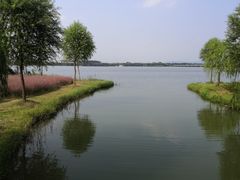 -南湖湿地公园