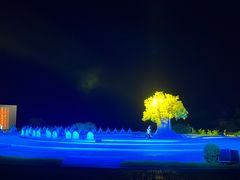 -鼎盛王朝康熙大典实景演出