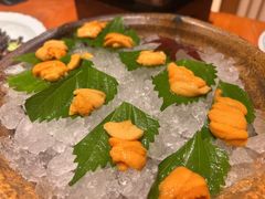 -月龍吟(朝龙汇店)