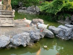 -祝家花園(伯渎港店)