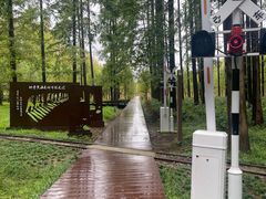 -黄海国家森林公园