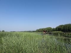 -苏州太湖国家湿地公园