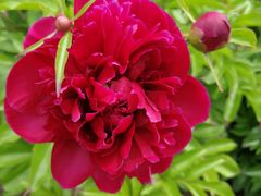 -长春公园(普阳街道)