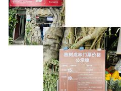 -瑞丽独树成林风景区