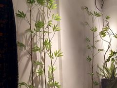 -鑫梦桌游谋杀之谜剧本杀俱乐部(联合商厦店)