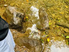 -宁波五龙潭景区