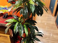 -Together·泰式按摩精油SPA(天山店)