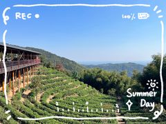 -长沙黑麋峰国家森林公园