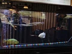 -长赢养生(平度店)