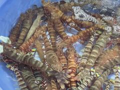 -花乐餐厅(涠洲岛店)