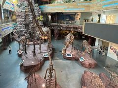 -安徽省地质博物馆