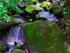 -青峰峡国家森林公园