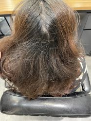 -SEBASTIAN塞巴斯汀