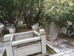 -八大山人梅湖景区