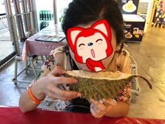 -都念榴莲·城市榴莲